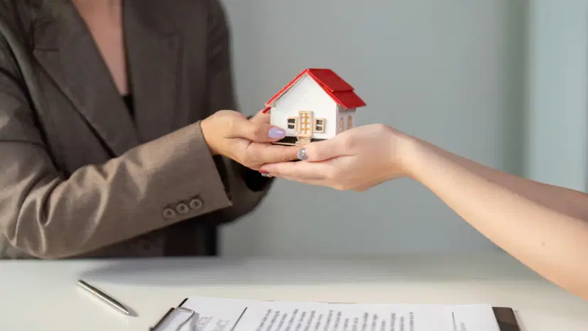 Asset Protection Attorney