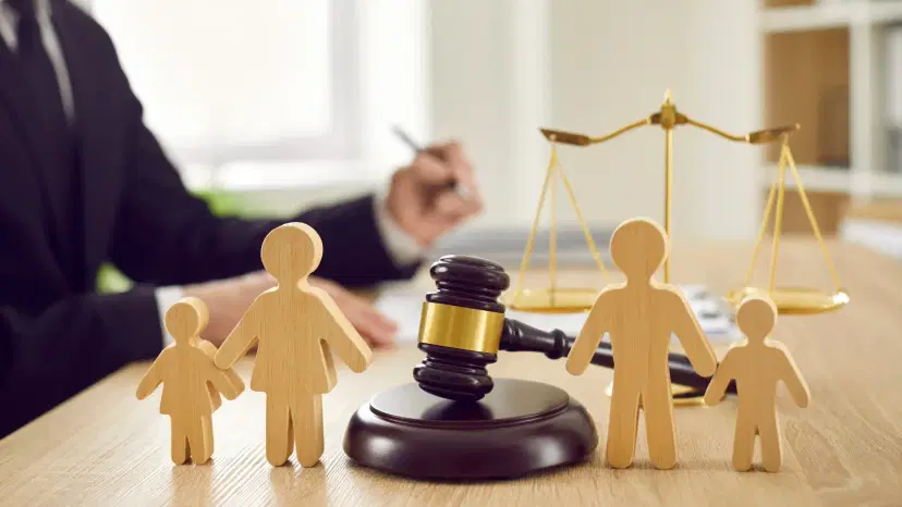 Conservatorship and Guardianship